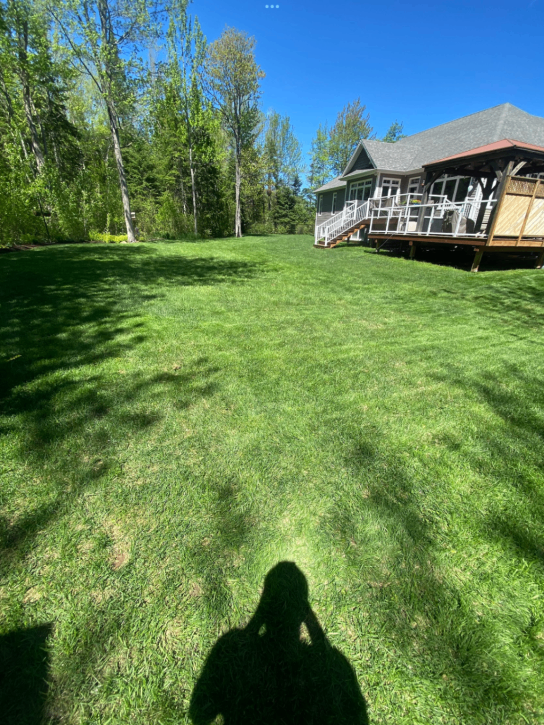 Freshly mowed backyard beside a deck and tree line